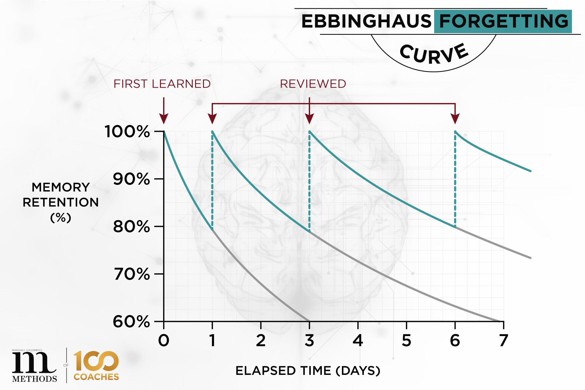 Forgettin Curve Graphic